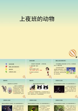 三年级科学上册 第四单元 有趣的动物 3 《上夜班的动物》教学课件 大象版-大象版小学三年级上册自然科学课件