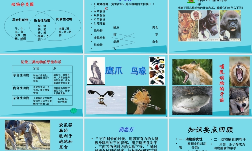 三年级科学上册 动物的食物课件3 新人教版-新人教版小学三年级上册自然科学课件
