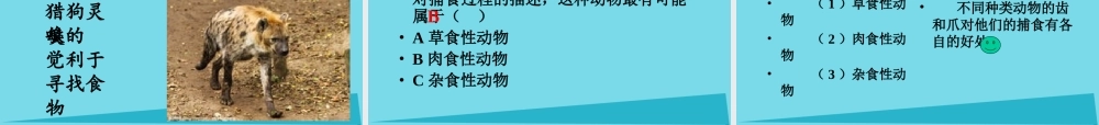 三年级科学上册 动物的食物课件3 新人教版-新人教版小学三年级上册自然科学课件