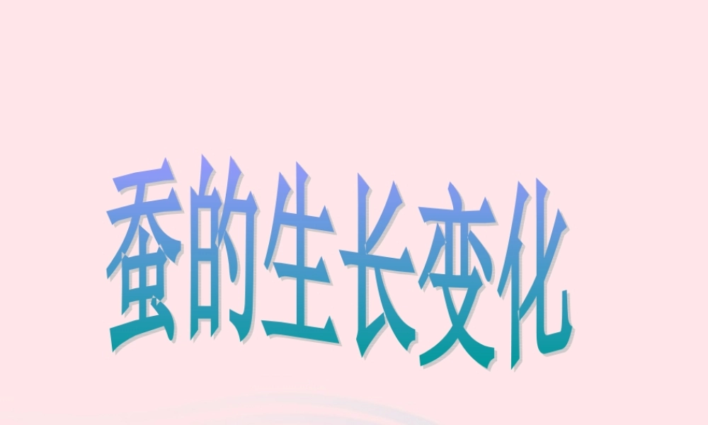 三年级科学下册 动物的生命周期 2 蚕的生长变化课件1 教科版-教科版小学三年级下册自然科学课件