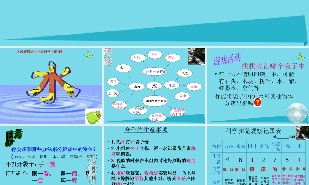 三年级科学上册 第四章 第1课 水与动物课件 新人教版-新人教版小学三年级上册自然科学课件