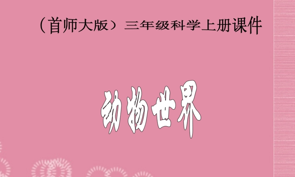 三年级科学上册 动物世界课件 首师大版