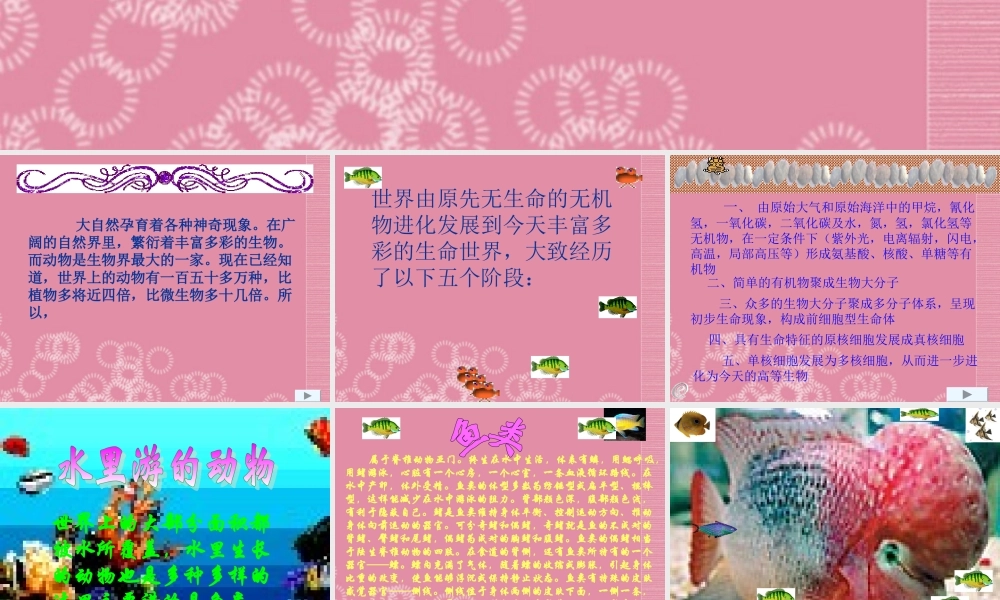 三年级科学上册 动物世界课件 首师大版