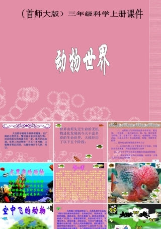 三年级科学上册 动物世界课件 首师大版
