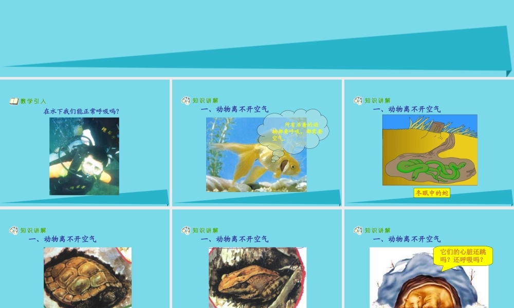 三年级科学上册 第四章 第2课 离不开的空气课件1 新人教版-新人教版小学三年级上册自然科学课件