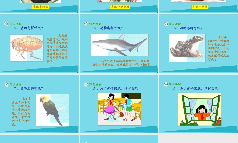 三年级科学上册 第四章 第2课 离不开的空气课件1 新人教版-新人教版小学三年级上册自然科学课件