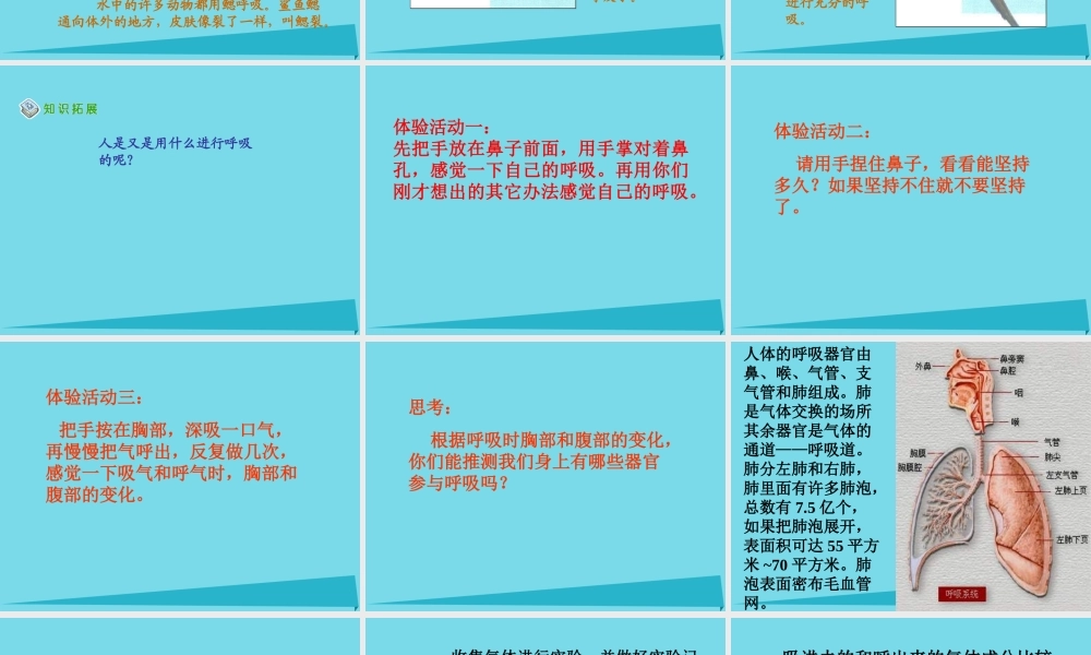 三年级科学上册 第四章 第2课 离不开的空气课件2 新人教版-新人教版小学三年级上册自然科学课件