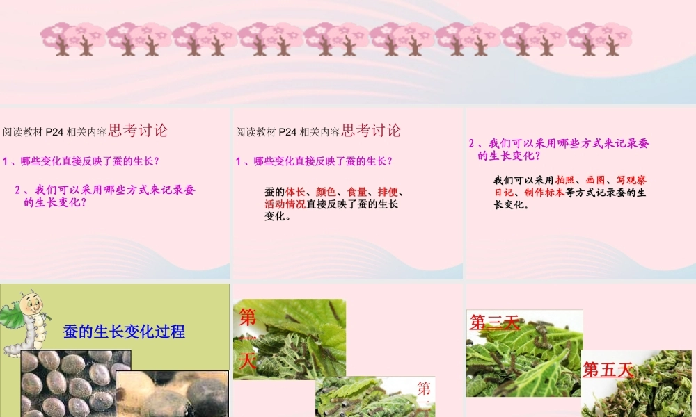 三年级科学下册 动物的生命周期 2 蚕的生长变化课件3 教科版-教科版小学三年级下册自然科学课件