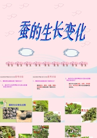 三年级科学下册 动物的生命周期 2 蚕的生长变化课件3 教科版-教科版小学三年级下册自然科学课件