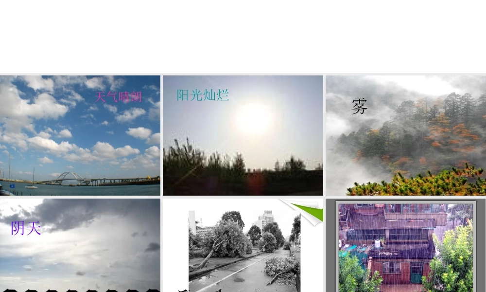 三年级科学上册 今天的天气课件2 青岛版