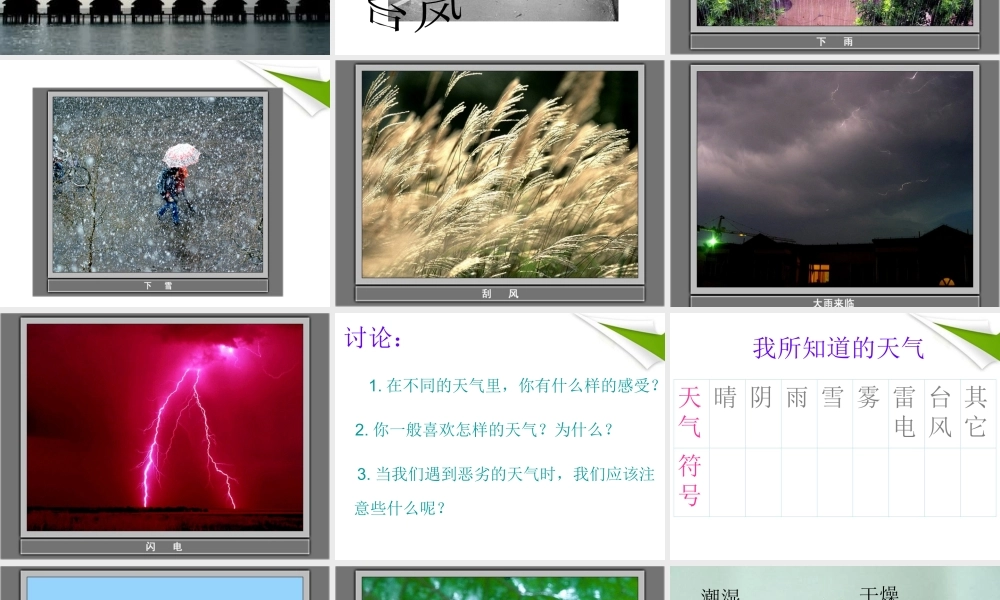 三年级科学上册 今天的天气课件2 青岛版