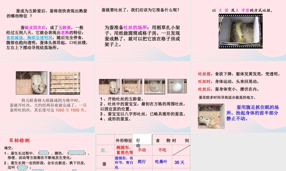 三年级科学下册 动物的生命周期 2 蚕的生长变化课件5 教科版-教科版小学三年级下册自然科学课件