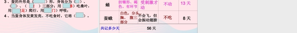 三年级科学下册 动物的生命周期 2 蚕的生长变化课件5 教科版-教科版小学三年级下册自然科学课件