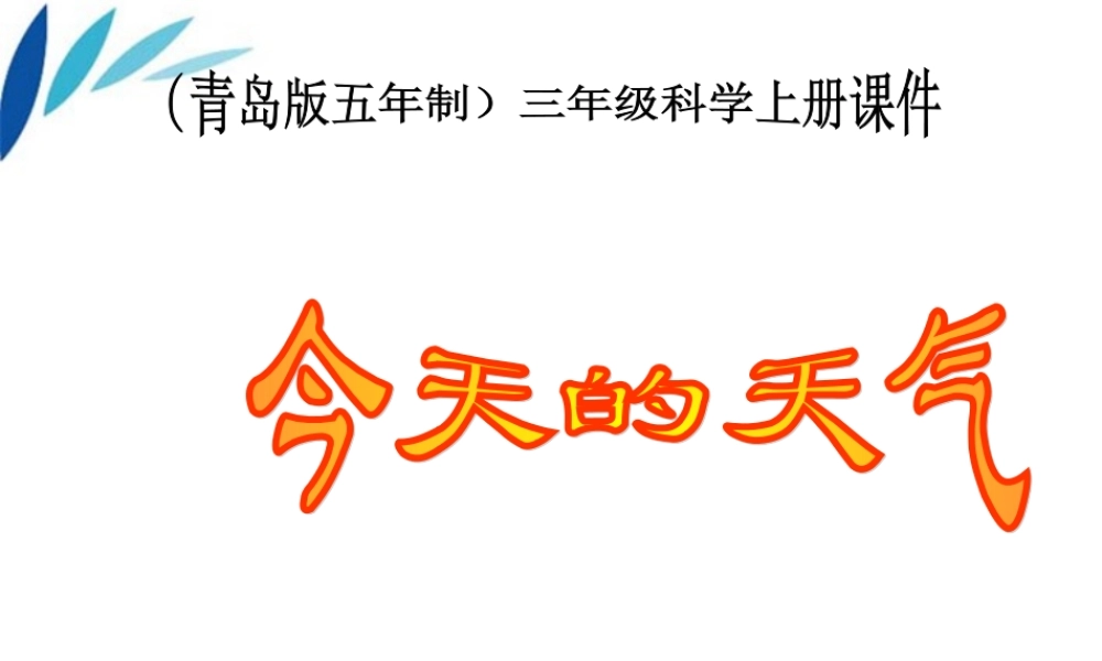 三年级科学上册 今天的天气课件3 青岛版