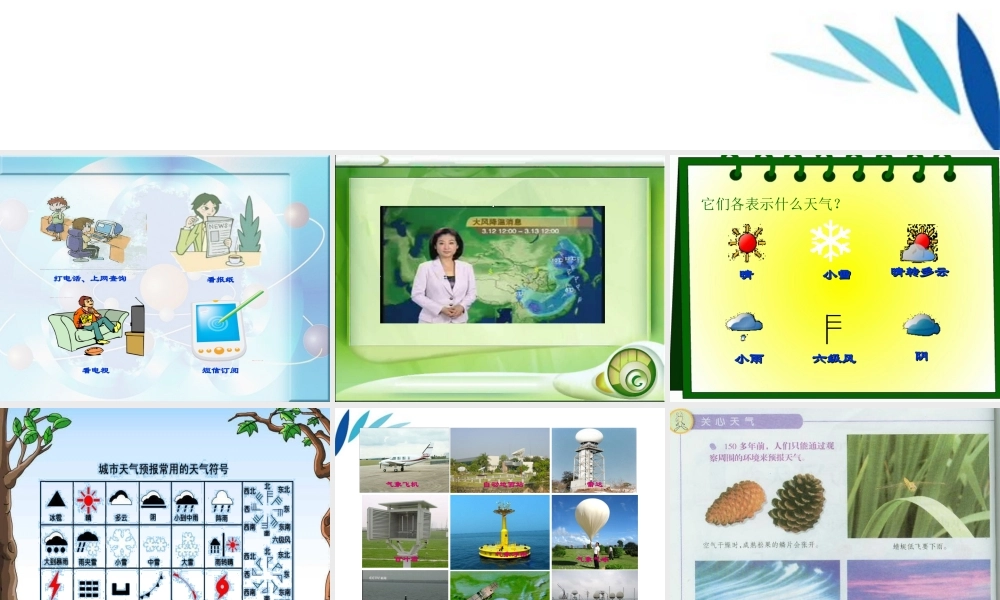 三年级科学上册 今天的天气课件3 青岛版