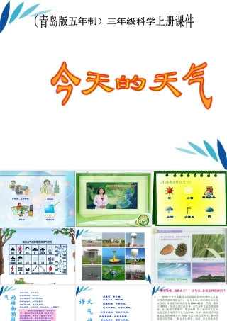 三年级科学上册 今天的天气课件3 青岛版