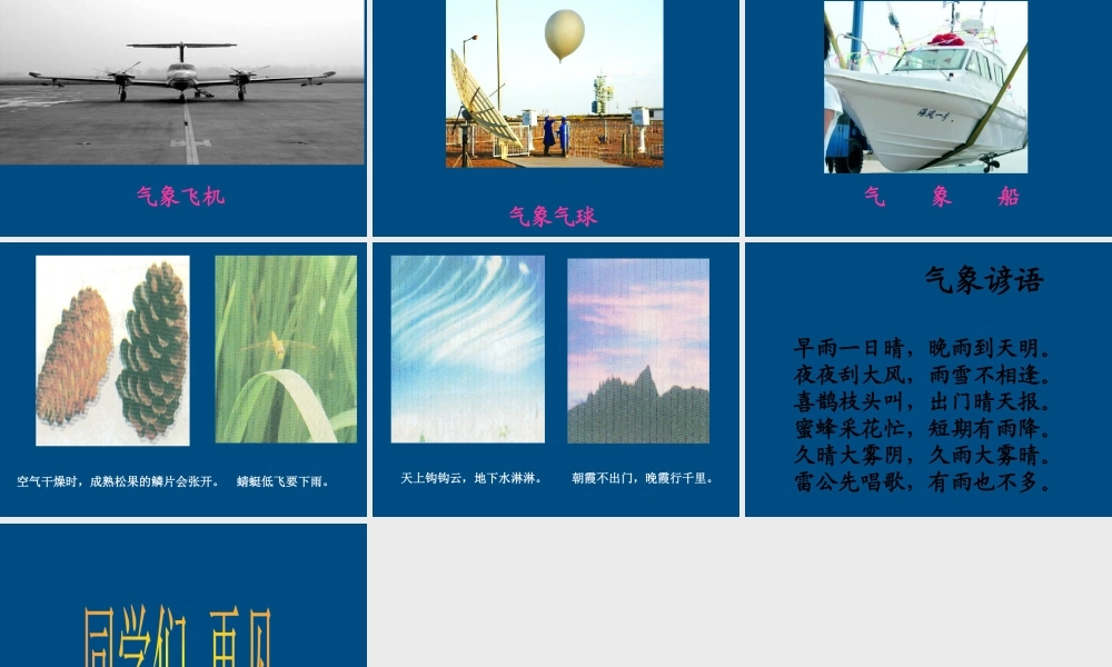 三年级科学上册 今天的天气课件4 青岛版