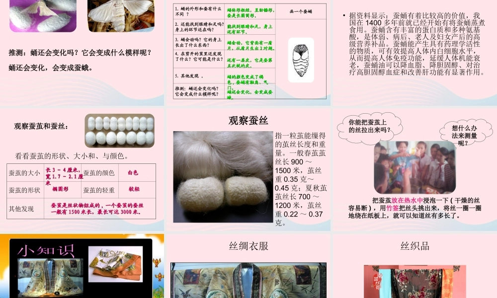 三年级科学下册 动物的生命周期 3 蚕变了新模样课件1 教科版-教科版小学三年级下册自然科学课件