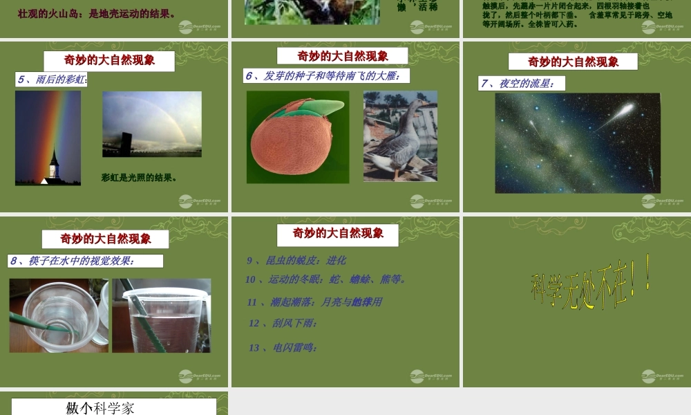 三年级科学上册 科学在我们身边2课件 首师大版