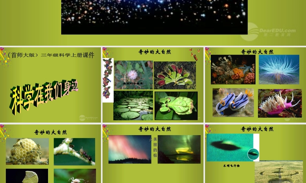 三年级科学上册 科学在我们身边3课件 首师大版