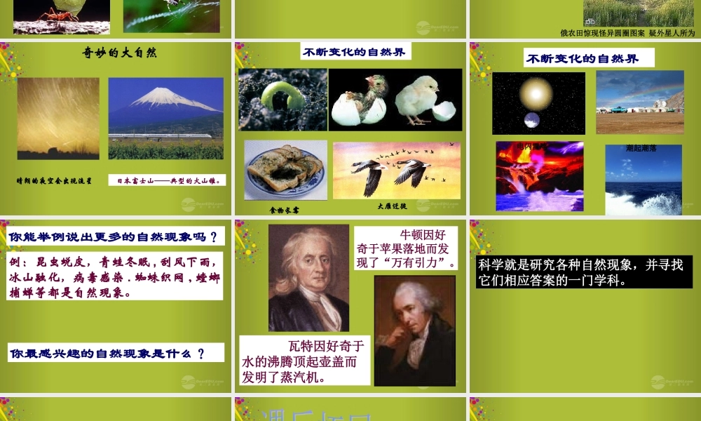 三年级科学上册 科学在我们身边3课件 首师大版