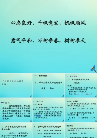 三年级信息技术下册 第二单元 文件管理 第6课 复制与删除文件《文件及文件夹的选取》课件 新人教版-新人教版小学三年级下册信息技术课件