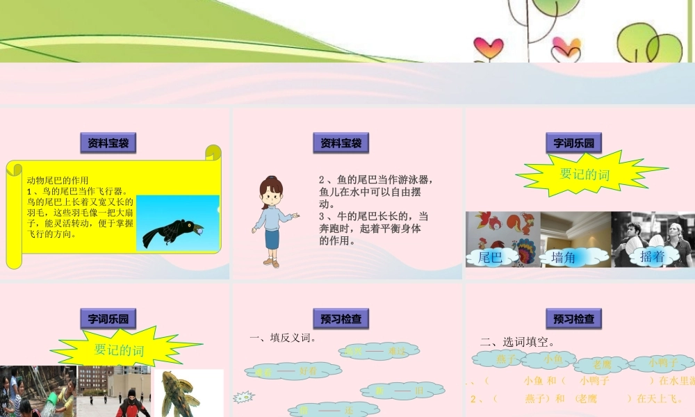 一年级语文下册 阅读八 第15课《小壁虎借尾巴》课件2 教科版-教科版小学一年级下册语文课件