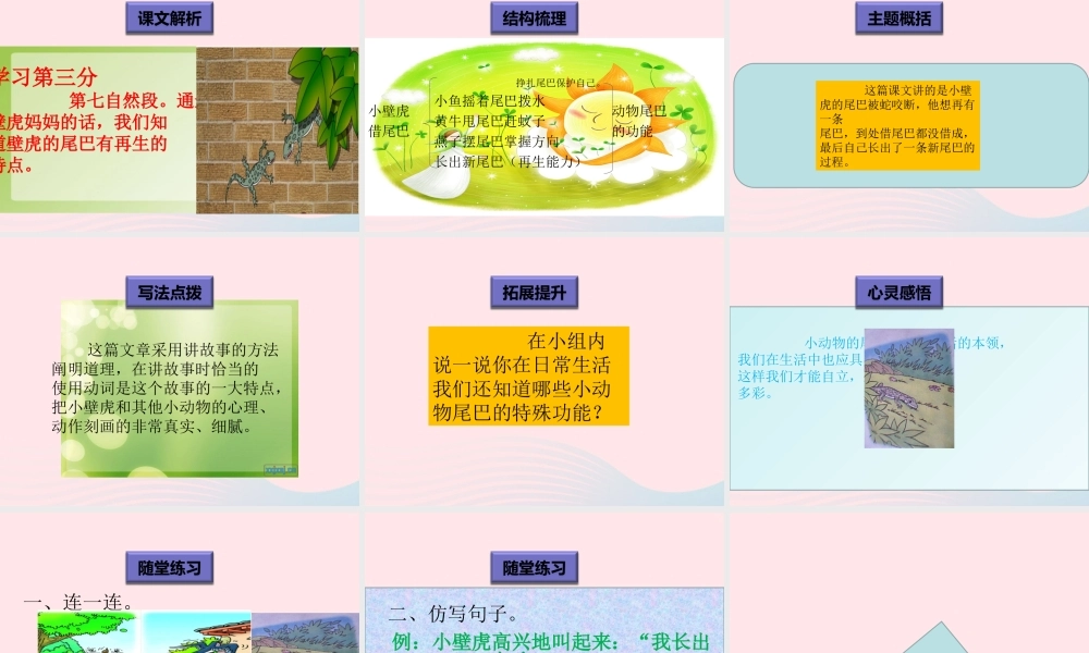 一年级语文下册 阅读八 第15课《小壁虎借尾巴》课件2 教科版-教科版小学一年级下册语文课件