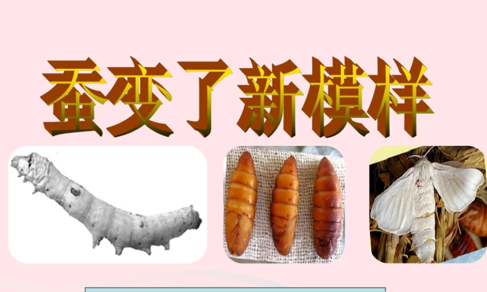 三年级科学下册 动物的生命周期 3 蚕变了新模样课件3 教科版-教科版小学三年级下册自然科学课件