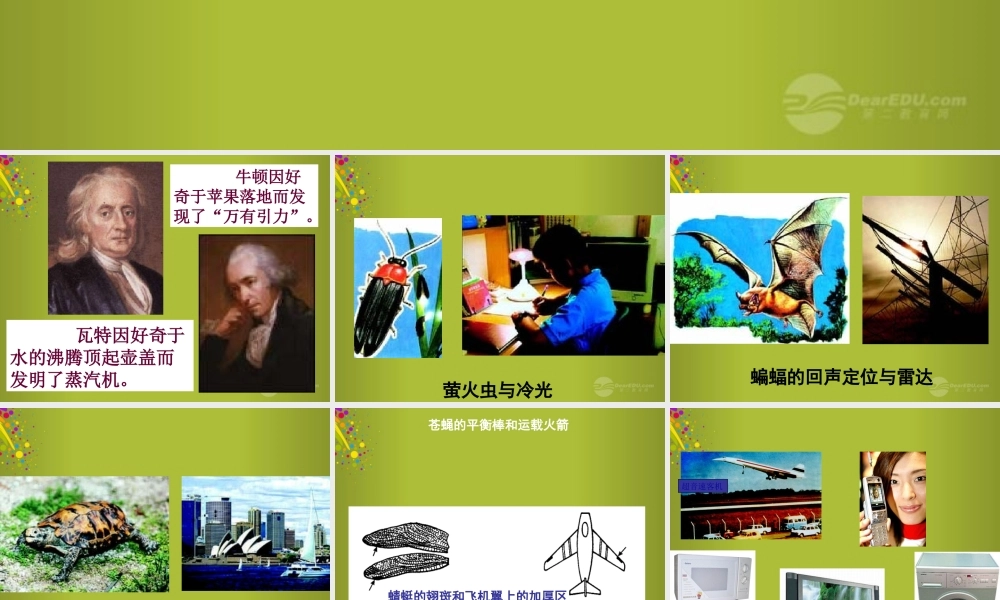 三年级科学上册 科学在我们身边6课件 首师大版