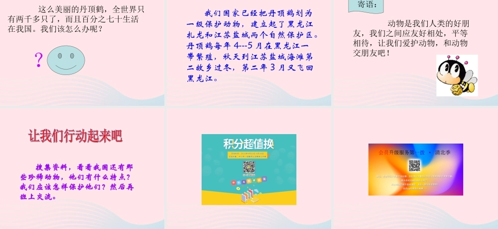 一年级语文下册 阅读八 第16课《美丽的丹顶鹤》课件1 教科版-教科版小学一年级下册语文课件