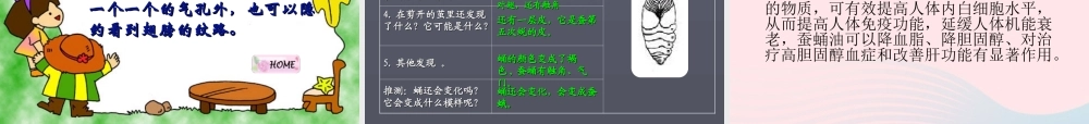 三年级科学下册 动物的生命周期 3《蚕变了新模样》课件1 教科版-教科版小学三年级下册自然科学课件