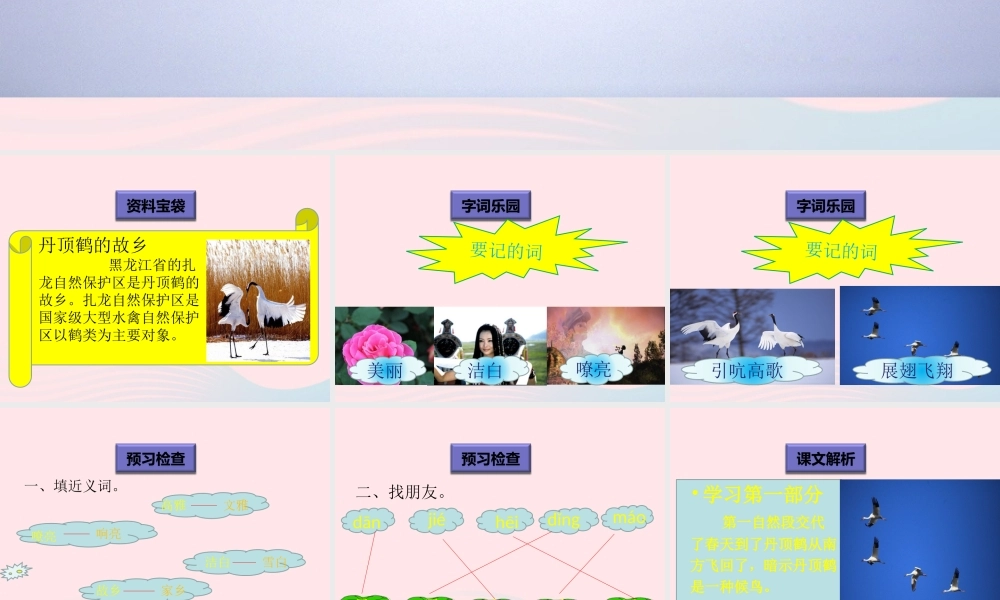 一年级语文下册 阅读八 第16课《美丽的丹顶鹤》课件2 教科版-教科版小学一年级下册语文课件