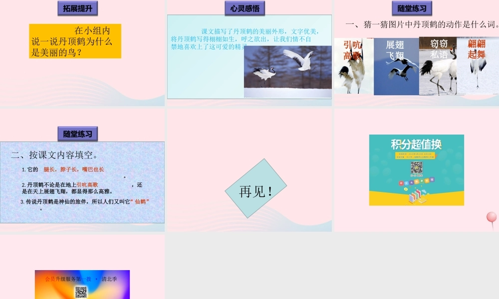 一年级语文下册 阅读八 第16课《美丽的丹顶鹤》课件2 教科版-教科版小学一年级下册语文课件