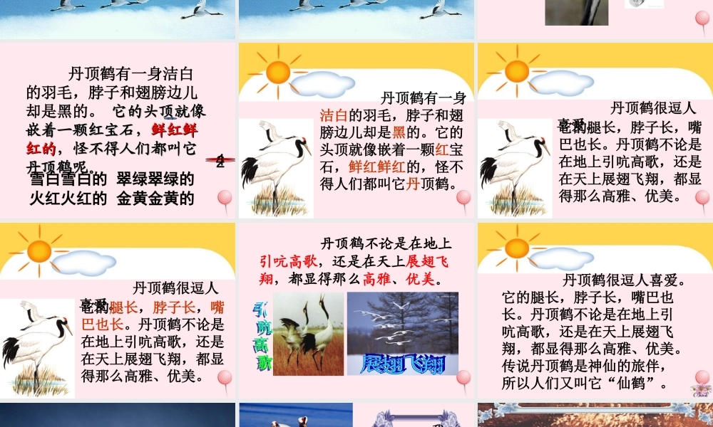 一年级语文下册 阅读八 第16课《美丽的丹顶鹤》课件3 教科版-教科版小学一年级下册语文课件