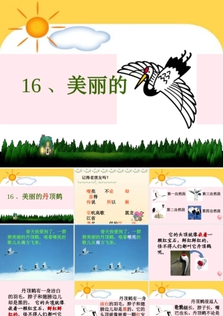 一年级语文下册 阅读八 第16课《美丽的丹顶鹤》课件3 教科版-教科版小学一年级下册语文课件