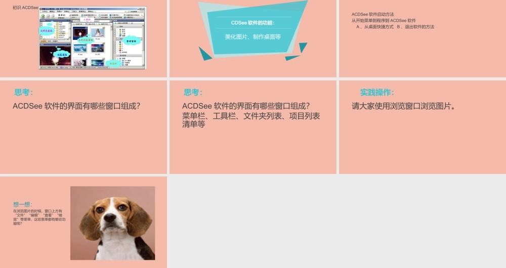 三年级信息技术下册 第二单元 文件管理 第8课 管理图像《认识ACDSee》课件 新人教版-新人教版小学三年级下册信息技术课件