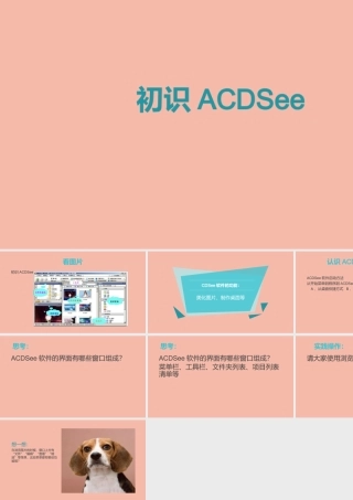 三年级信息技术下册 第二单元 文件管理 第8课 管理图像《认识ACDSee》课件 新人教版-新人教版小学三年级下册信息技术课件