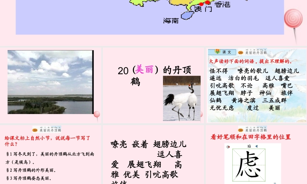 一年级语文下册 阅读八 第16课《美丽的丹顶鹤》课件4 教科版-教科版小学一年级下册语文课件