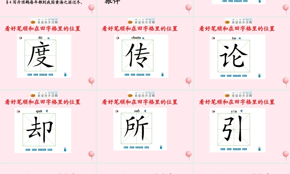 一年级语文下册 阅读八 第16课《美丽的丹顶鹤》课件4 教科版-教科版小学一年级下册语文课件