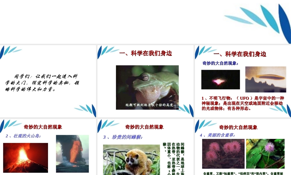 三年级科学上册 科学在我们身边课件1 青岛版