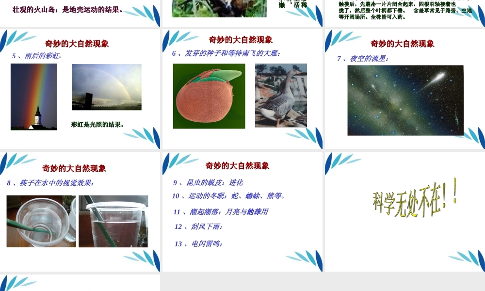 三年级科学上册 科学在我们身边课件1 青岛版