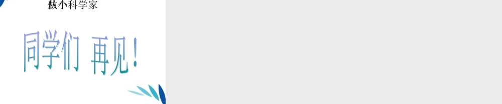 三年级科学上册 科学在我们身边课件1 青岛版