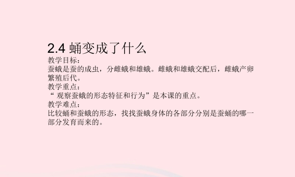 三年级科学下册 动物的生命周期 4 蛹变成了什么课件1 教科版-教科版小学三年级下册自然科学课件
