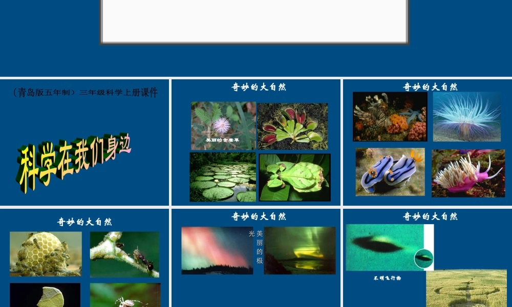 三年级科学上册 科学在我们身边课件2 青岛版