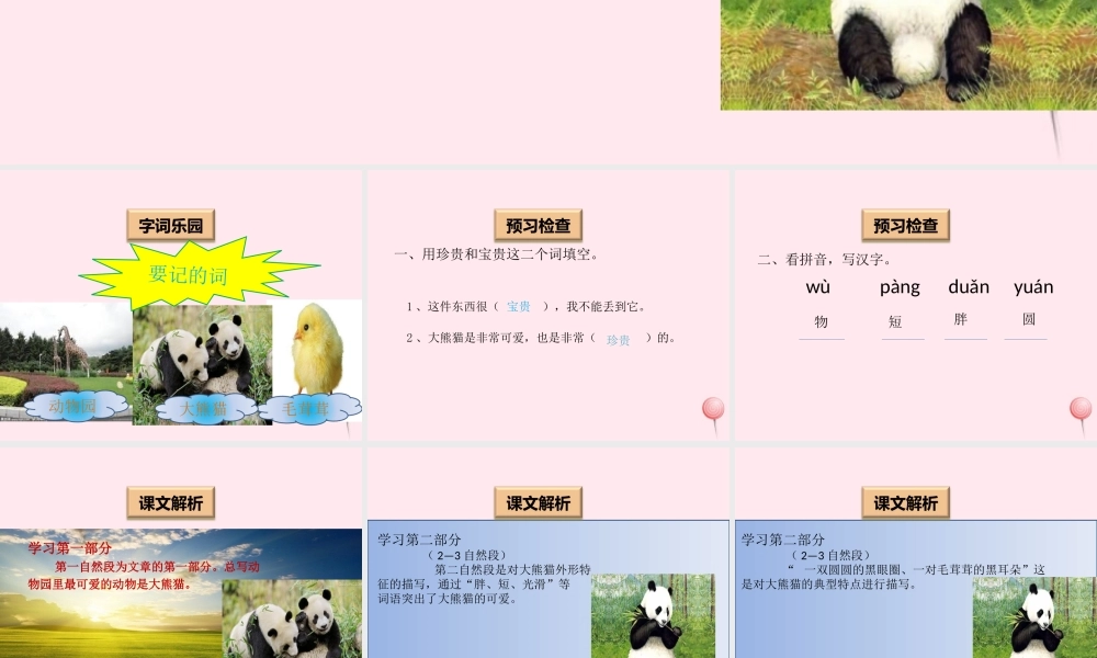 一年级语文下册 阅读八《大熊猫》课件1 教科版-教科版小学一年级下册语文课件