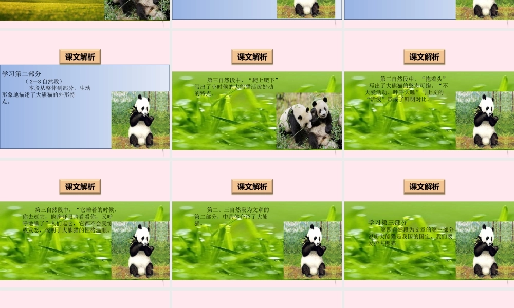 一年级语文下册 阅读八《大熊猫》课件1 教科版-教科版小学一年级下册语文课件