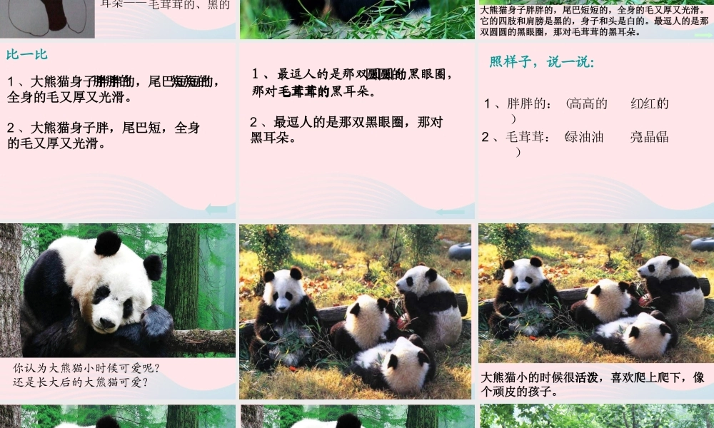 一年级语文下册 阅读八《大熊猫》课件2 教科版-教科版小学一年级下册语文课件