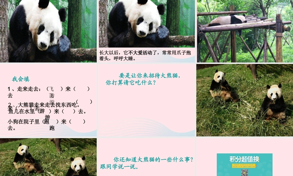 一年级语文下册 阅读八《大熊猫》课件2 教科版-教科版小学一年级下册语文课件