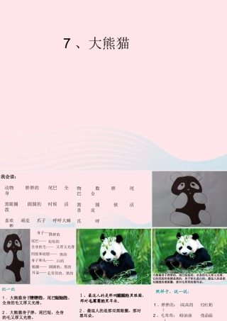 一年级语文下册 阅读八《大熊猫》课件2 教科版-教科版小学一年级下册语文课件